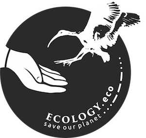ecology.eco